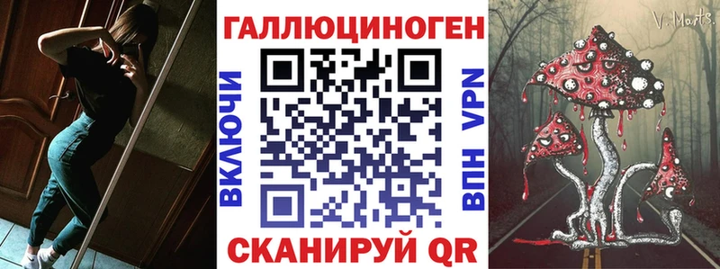 Псилоцибиновые грибы мицелий цена Балабаново