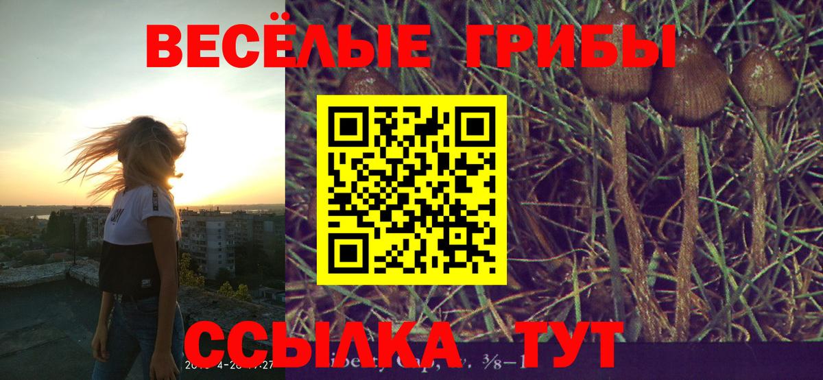 Галлюциногенные грибы Psilocybine cubensis Балабаново