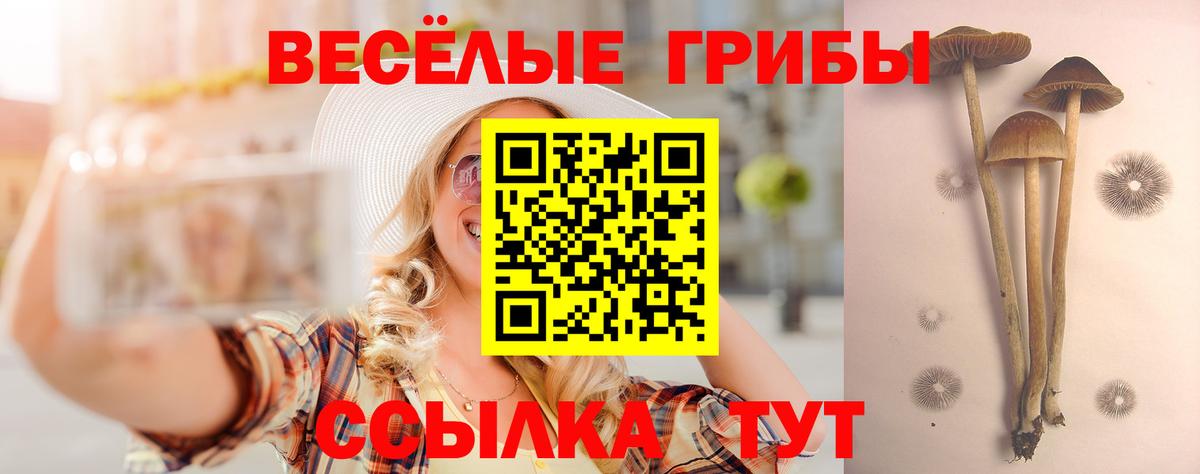 Галлюциногенные грибы ЛСД  Вход с VPN  магазин  наркотиков  Балабаново 